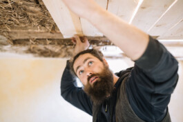 Ein Mitarbeiter des Betriebs Specht & Schwalbe arbeitet konzentriert an Holzbrettern an der Decke.
